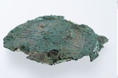 Etikett zu Bronzeschüsselhelmnagel (NHMW-PRAE-078105)
